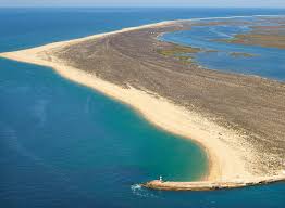 Resultado de imagem para ilha da deserta