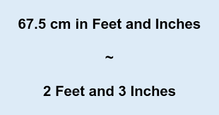 Check spelling or type a new query. 67 5 Cm In Feet And Inches Converter And Formula