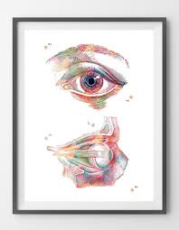 Eye Anatomy Watercolor Print Eye Poster Ophthalmology Art Etsy Eye Anatomy Art Prints Medical Art
