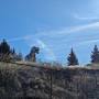 Profile Picture of How to Visit Alice the T-Rex in Penticton (@bestofpenticton.com) on Google