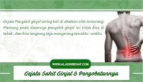 Pin Di Penyakit