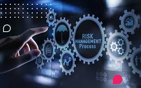 What is Risk Management Process? Uncovering the 5 Essential Steps | MEGA