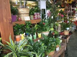 Royer's flowers & gifts is located in lancaster city of pennsylvania state. Royer S Flowers Gifts 902 Lancaster Ave Columbia Pa 17512 Usa