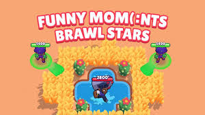 Смешные моменты (funny moments #13) | brawl stars. Smeshnye Momenty 5 Luchshee Za Aprel Funny Moments Brawl Stars Youtube