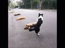 Image result for tbn:LDWriK6APZkVpM::www.spidart.com/uploads/post/image/2112/thumb_smiley_bisous.gif