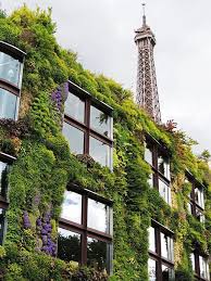 Musee Du Quai Branly Vertical Garden Green Facade Green Wall