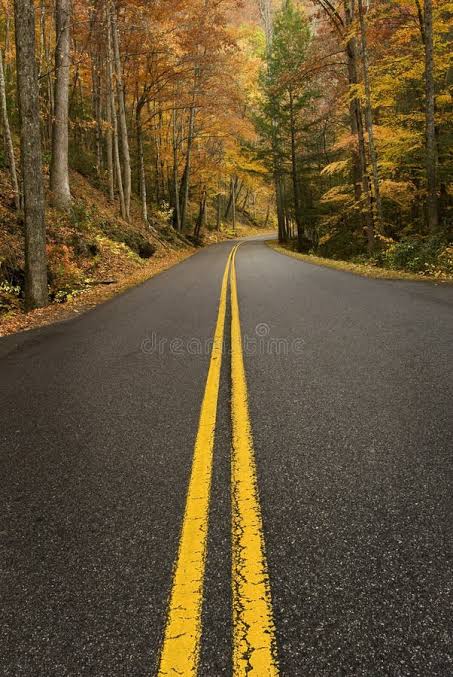 Long distance moving transportation