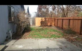 Maybe you would like to learn more about one of these? Dwarf Gold Thread Leaf Cypress Chamaecyparis Pisifera Filifera Aurea Nana 1 Gallon Shrub Cypress Togogarden