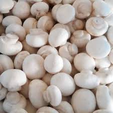 20 minutes ago · we begin with fresh, never frozen beef, seared on a grill after you order. Fresh White Button Mushroom Buy Fresh White Button Mushroom For Best Price At Inr 120inr 150 Kilogram