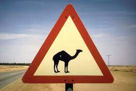 Camel is kamelon and rope is kamilon. in latin and english, of course, camel and rope are really easy to tell apart. Aramaic New Covenant Issues A Greek Camel An Aramaic Rope The Words Of Yeshua Ha Mashiyach Which Is Best