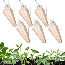 Amazon Com Monios L T8 Led Grow Light 2ft 144w 6 24w High Output Plant Grow Light Strip Full Spectrum Sunl Led Grow Lights Grow Lights For Plants Led Grow