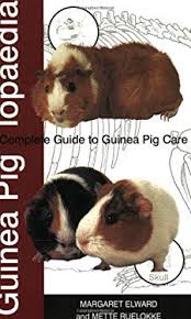 Bringing In Beauty book by Malcolm Pullen: 9781504365543