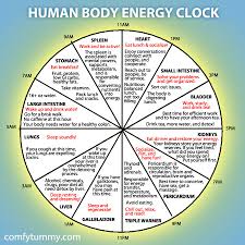 Infographic Explore Your Human Body Energy Clock Body Energy Energy Medicine Holistic Health
