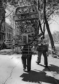 Pajareros En Paseo De La Reforma Ciudad De Mexico Mexico Ca 1945 Fotos De Mexico Ciudad De Mexico Historia De Mexico