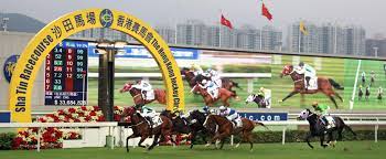Sha tin will serve as the site of this exciting event. Sha Tin Racecourse Racecourse Booking Racecourses Entertainment The Hong Kong Jockey Club