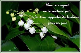 Bouquets de muguet de ce 1er mai! - Supertoinette