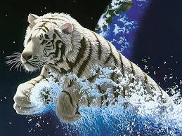 3d Animal Desktop Backgrounds Widescreen Wallpapers 1920x1080 Tiger Wallpaper Animal Wallpaper Tiger Pictures Download animals hd wallpapers, desktop backgrounds available in various resolutions to suit your computer desktop, iphone / ipad or android™ device. 3d animal desktop backgrounds