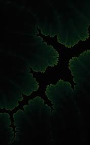 All of the amoled wallpapers bellow have a minimum hd resolution (or 1920x1080 for the tech guys) and are easily downloadable by clicking the image and saving it. 800x1280 Green Plants Dark Amoled Nexus 7 Samsung Galaxy Tab 10 Note Android Tablets Hd 4k Wallpapers Images Backgrounds Photos And Pictures