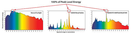 How To Read A Spectral Distribution Chart Eye Hortilux