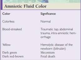 We did not find results for: Amniotic Fluid