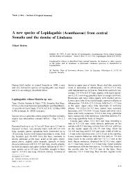 Image result for Lepidagathis pallescens