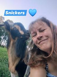 Working Cattle and Vocabulary Building