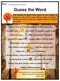 · squirrels are smarter in autumn. Autumn Facts Worksheets Information Key Characteristics For Kids