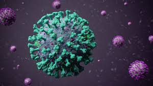 The disease has since spread worldwide, leading to an ongoing pandemic. High Level Webinar Impact Of Covid 19 Policies On Human Rights In Europe Newsroom