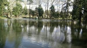 All statistics are with charts. Vizela Fotos Besondere Vizela Braga District Bilder Tripadvisor