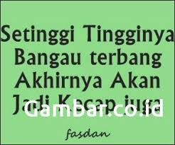 Di dunia ini, siapa, sih, yang nggak mau bahagia? Gambar Kata Bijak Lucu Cikimm Com