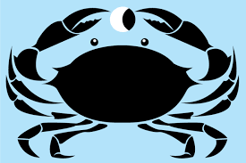 Get your astrology free horoscope now and benefit from your personal daily zodiacal updates for cancer. Horoscopes The Washington Post