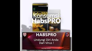 Habspro ini mengandung habbatusaudah dan propolis yang baik untuk kesehatan. Habspro Lindungi Diri Anda Dari Virus Best Official Youtube