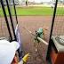 Meet the Lexington Legends' bat dog, whose bite is stronger than ...