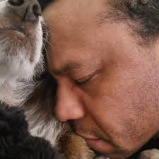 Lost cat in Havre, MT, near 14th Ave and 5th St