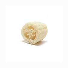 ESPONJA VEGETAL FRACCION