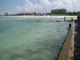 Snorkeling Point Of Rocks Siesta Key Florida