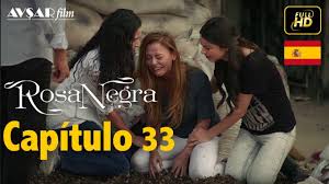 Ferhat aslan es un asesino que trabaja en los negocios sucios para su tío namik, que es el patriarca de la prestigiosa y millonaria familia emirham. Rosa Negra Capitulo 33 Avsar Film