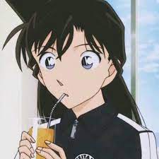 Case Closed Detective Conan Anime Matching Icons Detective Conan Anime Detective Conan Ran