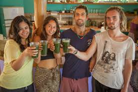 If you do not already have a pachamama knitwear account please complete the short form below. Body Cleanse Group