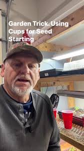 Garden Trick. Using Cups for Seed Starting #gardening #gardeningtricks  #RaisedBedGardening