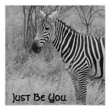 Quote And Zebra Poster Zazzle Com Zebra Be Yourself Quotes Zebras