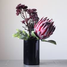 Image result for Protea kibarensis