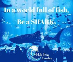 Stand Out Like A Shark Sharkweek Classroom Quotes Shark Week Shark