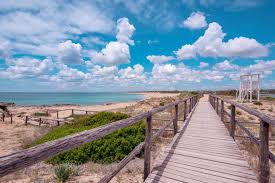 Image result for Monadenium torrei