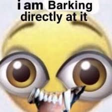 21 unusual facts that range from odd to disturbing. 100 Things To Airdrop In Class Ideas Funny Memes Reaction Pictures Stupid Memes