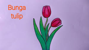 Cara Menggambar Bunga Tulip Dengan Pensil Warna By Nove Hasanah