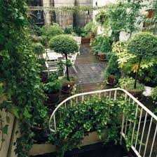 Jardin D Ombre Arbuste Pour Balcon Jardinage Urbain Terrasse