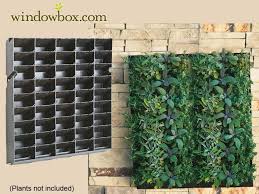 Wall hanging are all the rage these days, i keep seeing them in all my favorite designer stores, but am not about to pay the. Large Living Wall Planter 20 W X 20 H Living Wall Planter Living Wall Indoor Living Wall