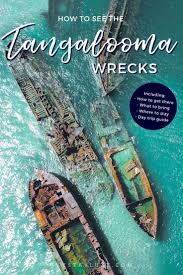 Mini Guide Discover The Tangalooma Ship Wrecks Travel Destinations Australia Asia Destinations Oceania Travel
