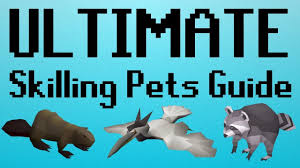 A pet house costs 1200 g, 10 lumber, and 3 small lumber at ludus' shop in lulukoko. Osrs Ultimate Skilling Pets Guide With Comparisons Youtube